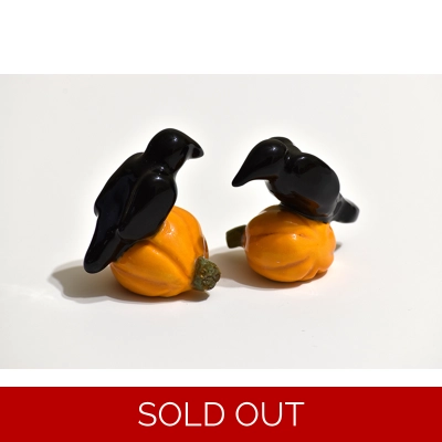 Crow on Pumpkin Crow on Pumpkin